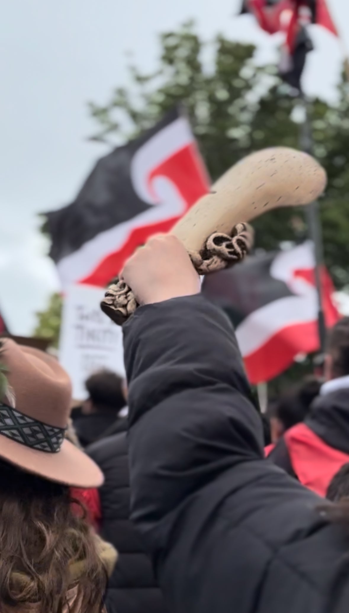 Person holding wahaika at the Hastings Toitū te Tiriti Activation hīkoi.
